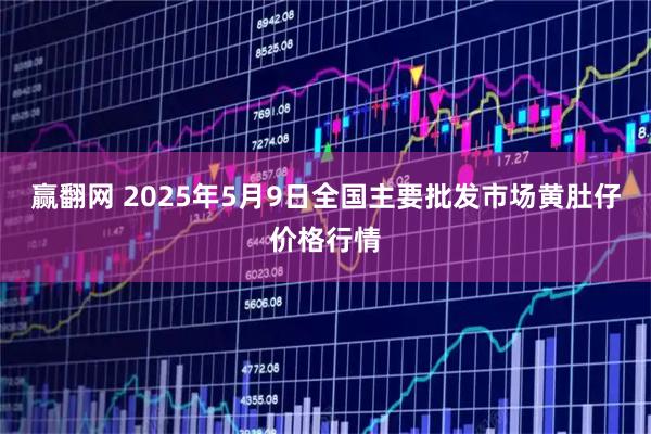 赢翻网 2025年5月9日全国主要批发市场黄肚仔价格行情
