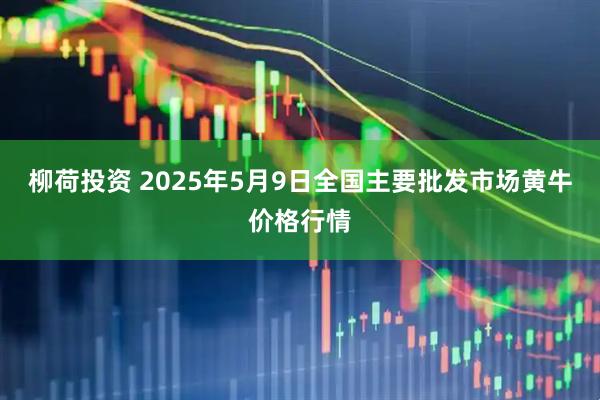 柳荷投资 2025年5月9日全国主要批发市场黄牛价格行情