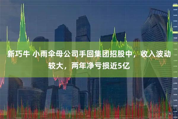 新巧牛 小雨伞母公司手回集团招股中，收入波动较大，两年净亏损近5亿